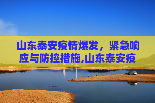 山东泰安疫情爆发，紧急响应与防控措施,山东泰安疫情爆发