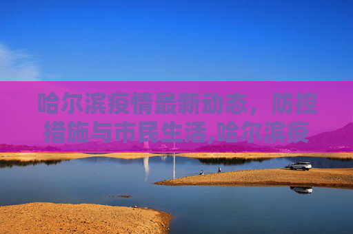 哈尔滨疫情最新动态，防控措施与市民生活,哈尔滨疫情最近消息