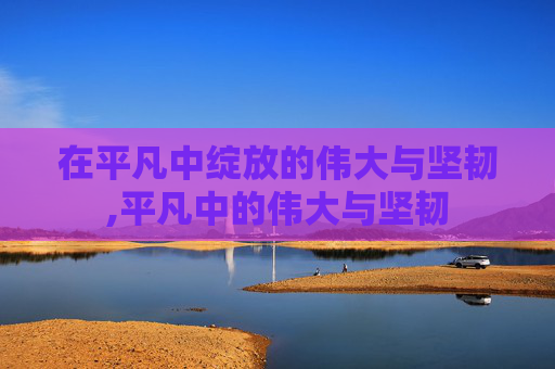 在平凡中绽放的伟大与坚韧,平凡中的伟大与坚韧
