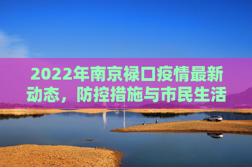 2022年南京禄口疫情最新动态，防控措施与市民生活,2022南京禄口疫情最新消息