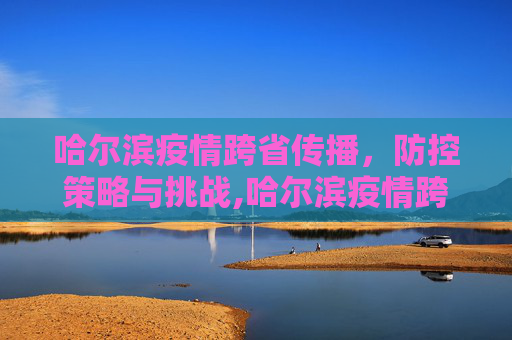 哈尔滨疫情跨省传播，防控策略与挑战,哈尔滨疫情跨省传播