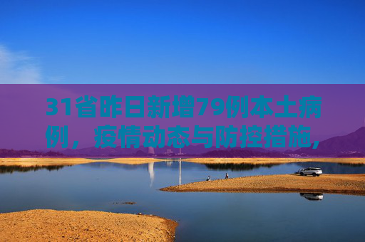 31省昨日新增79例本土病例，疫情动态与防控措施,31省昨日增79例本土