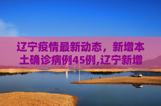 辽宁疫情最新动态，新增本土确诊病例45例,辽宁新增本土确诊45例