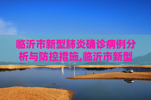临沂市新型肺炎确诊病例分析与防控措施,临沂市新型肺炎确诊病例