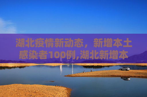 湖北疫情新动态，新增本土感染者100例,湖北新增本土感染者100例