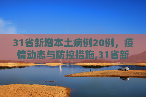 31省新增本土病例20例，疫情动态与防控措施,31省新增本土20例