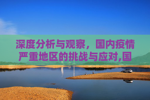 深度分析与观察，国内疫情严重地区的挑战与应对,国内疫情严重地区深度分析与观察