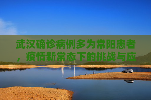 武汉确诊病例多为常阳患者，疫情新常态下的挑战与应对,武汉确诊病例多为常阳患者