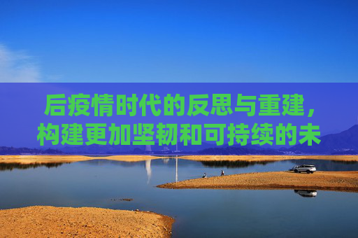后疫情时代的反思与重建，构建更加坚韧和可持续的未来,后疫情时代的反思与重建
