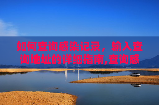 如何查询感染记录，输入查询地址的详细指南,查询感染记录输入查询地址