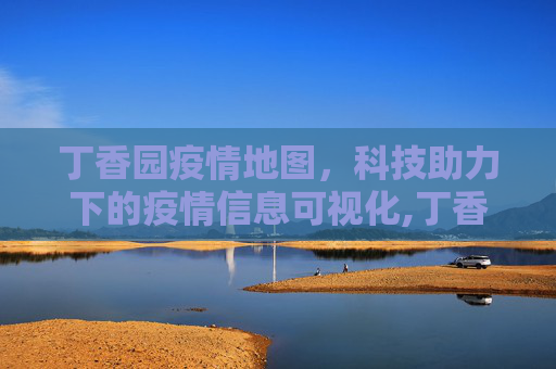 丁香园疫情地图，科技助力下的疫情信息可视化,丁香园疫情地图