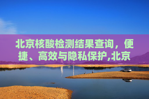 北京核酸检测结果查询，便捷、高效与隐私保护,北京核酸检测结果查询