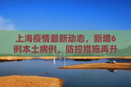 上海疫情最新动态，新增6例本土病例，防控措施再升级,上海新增6例