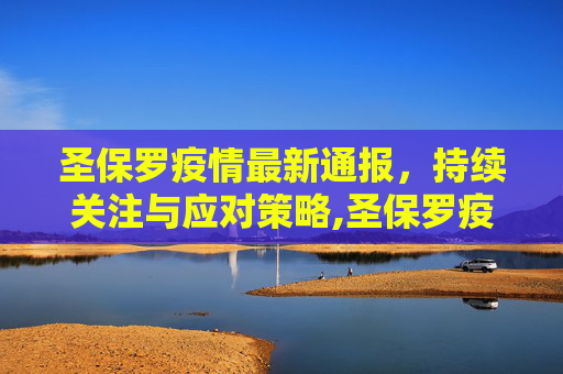 圣保罗疫情最新通报，持续关注与应对策略,圣保罗疫情最新通报
