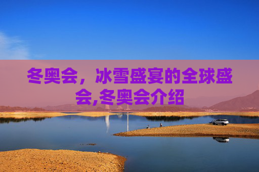 冬奥会，冰雪盛宴的全球盛会,冬奥会介绍