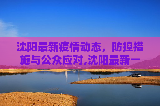 沈阳最新疫情动态，防控措施与公众应对,沈阳最新一例疫情