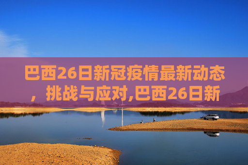 巴西26日新冠疫情最新动态，挑战与应对,巴西26日新冠疫情最新