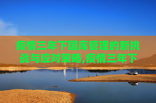 疫情三年下国库管理的新挑战与应对策略,疫情三年下国库管理的新挑战与应对策略