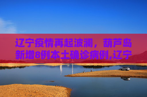 辽宁疫情再起波澜，葫芦岛新增8例本土确诊病例,辽宁新增8例本土确诊在葫芦岛