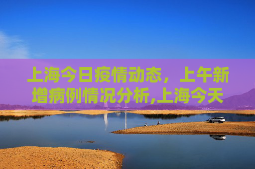 上海今日疫情动态，上午新增病例情况分析,上海今天上午新增病例