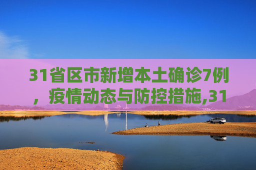 31省区市新增本土确诊7例，疫情动态与防控措施,31省区市新增本土确诊7例