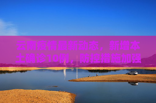 云南疫情最新动态，新增本土确诊10例，防控措施加强,云南新增本土确诊10例