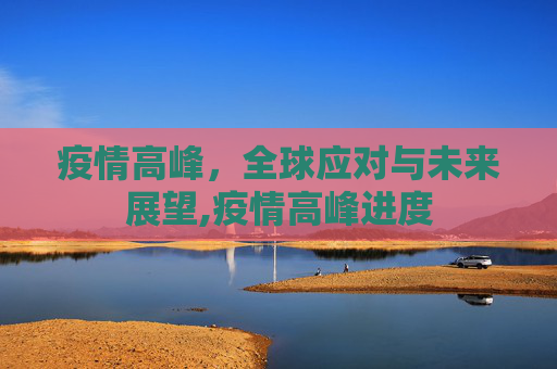 疫情高峰，全球应对与未来展望,疫情高峰进度