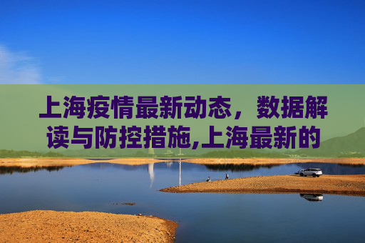 上海疫情最新动态，数据解读与防控措施,上海最新的疫情数据