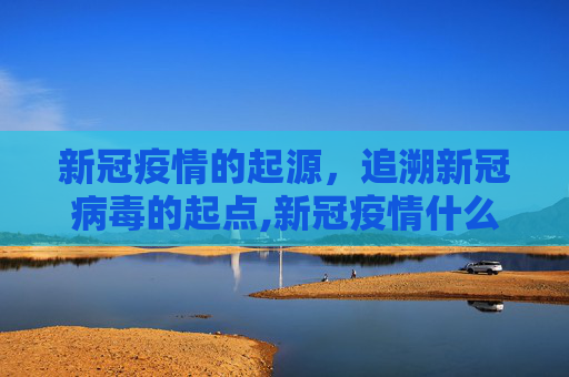 新冠疫情的起源，追溯新冠病毒的起点,新冠疫情什么时候开始的