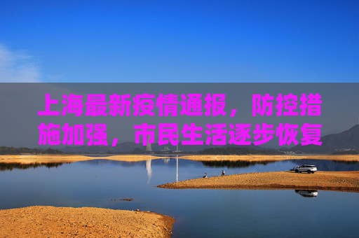 上海最新疫情通报，防控措施加强，市民生活逐步恢复,上海公布最新疫情