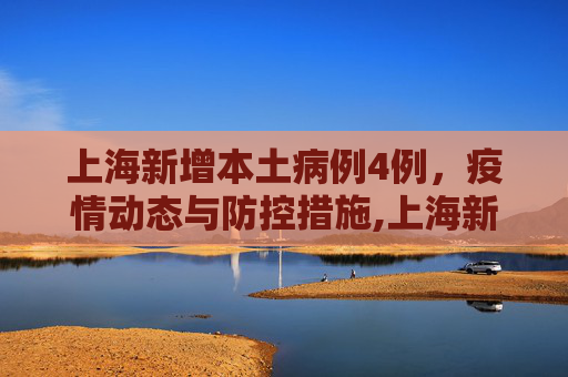 上海新增本土病例4例，疫情动态与防控措施,上海新增本土4例
