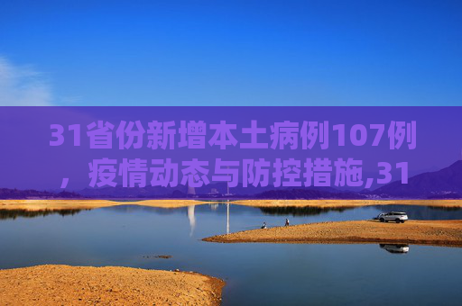 31省份新增本土病例107例，疫情动态与防控措施,31省份新增本土病例107例