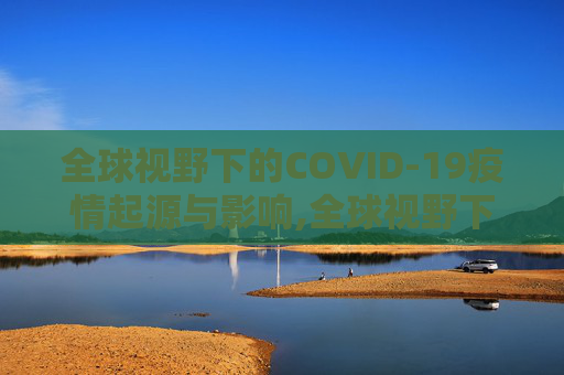 全球视野下的COVID-19疫情起源与影响,全球视野下的COVID19疫情起源与影响