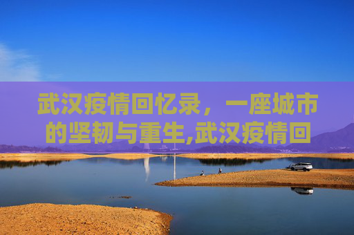 武汉疫情回忆录，一座城市的坚韧与重生,武汉疫情回忆录