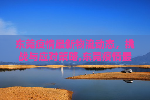 东莞疫情最新物流动态，挑战与应对策略,东莞疫情最新物流