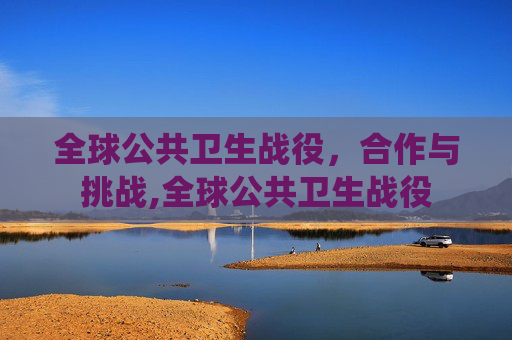 全球公共卫生战役，合作与挑战,全球公共卫生战役