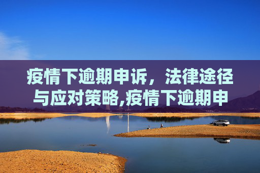 疫情下逾期申诉，法律途径与应对策略,疫情下逾期申诉