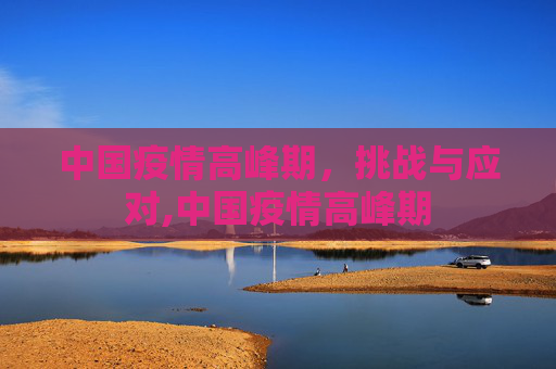 中国疫情高峰期，挑战与应对,中国疫情高峰期
