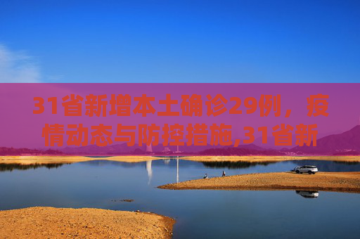 31省新增本土确诊29例，疫情动态与防控措施,31省新增本土确诊29例