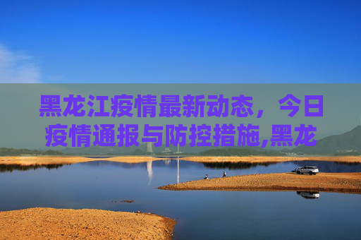 黑龙江疫情最新动态，今日疫情通报与防控措施,黑龙江疫情最新消息今天