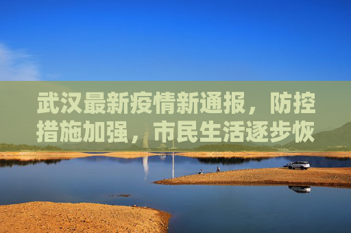武汉最新疫情新通报，防控措施加强，市民生活逐步恢复,武汉最新疫情新通报图片