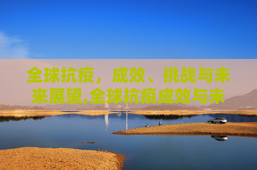 全球抗疫，成效、挑战与未来展望,全球抗疫成效与未来展望