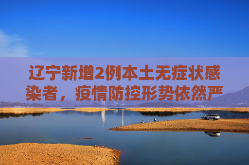辽宁新增2例本土无症状感染者，疫情防控形势依然严峻,辽宁新增2例本土无症状