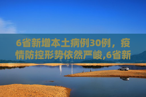6省新增本土病例30例，疫情防控形势依然严峻,6省新增本土30例
