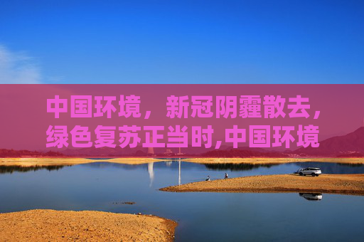 中国环境，新冠阴霾散去，绿色复苏正当时,中国环境已没有新冠