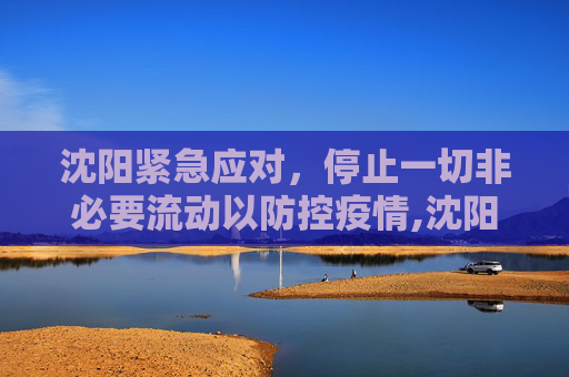 沈阳紧急应对，停止一切非必要流动以防控疫情,沈阳停止一切非必要流动