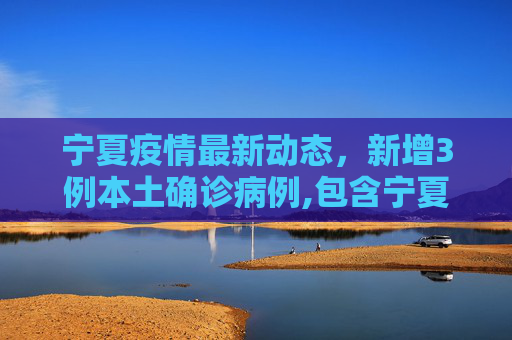 宁夏疫情最新动态，新增3例本土确诊病例,包含宁夏新增3例本土确诊的词条