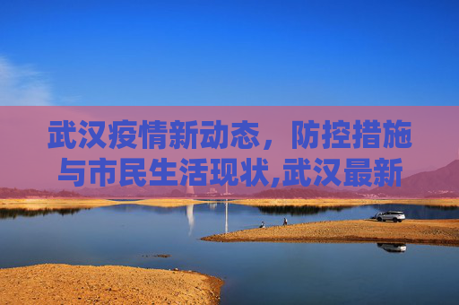 武汉疫情新动态，防控措施与市民生活现状,武汉最新的疫情情况