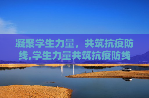 凝聚学生力量，共筑抗疫防线,学生力量共筑抗疫防线
