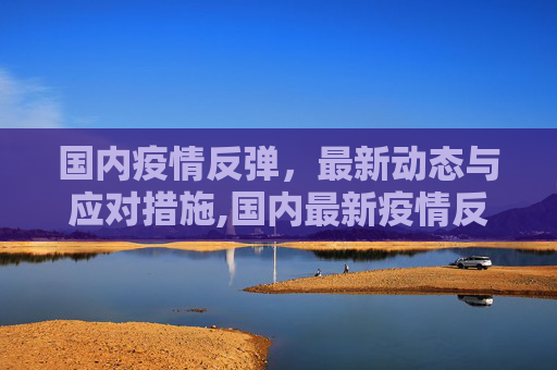 国内疫情反弹，最新动态与应对措施,国内最新疫情反弹情况